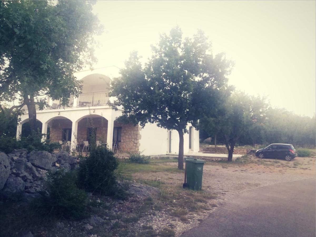 Apartmani Lucija Maslenica Dış mekan fotoğraf